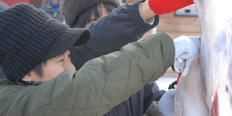 いぶり自然学校のお仕事を紹介します